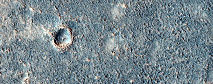 Terrain Sample