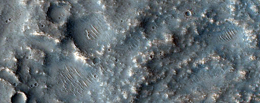 Terrain Sample