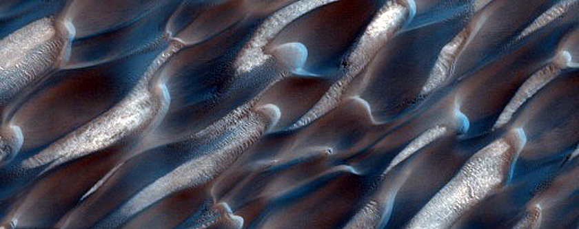 Mid-Erg Dunes in Abalos Undae