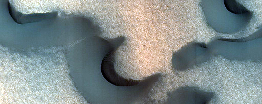 Dune Monitoring in Region Dubbed Palma