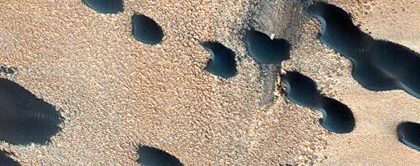 Barchan Dunes in North Polar Layered Deposits