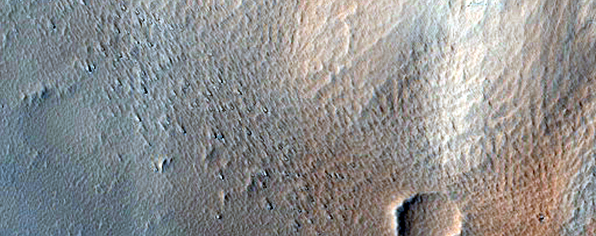 Elysium Fossae Infills