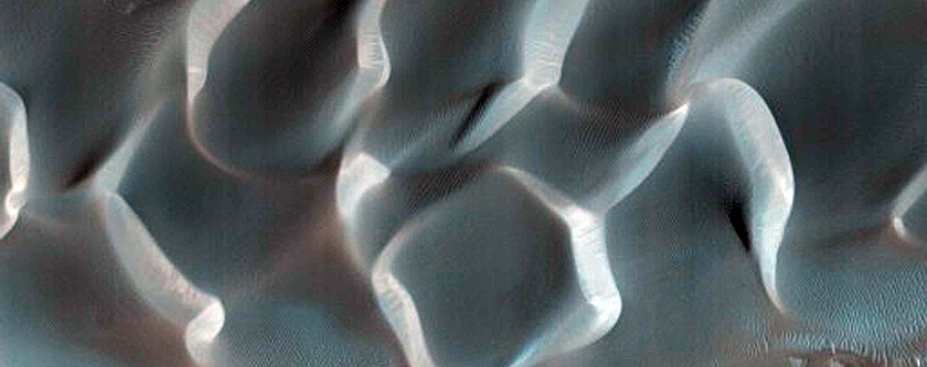 Dune Survey