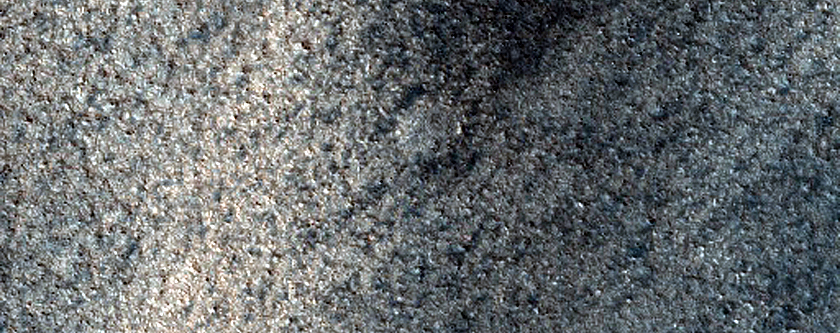 Terrain Sample