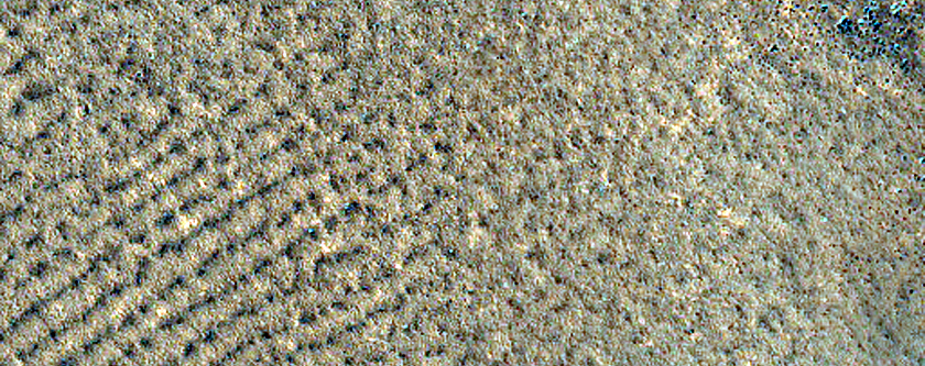 Terrain Sample