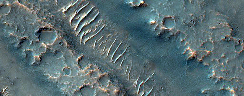 Hydrae Cavus