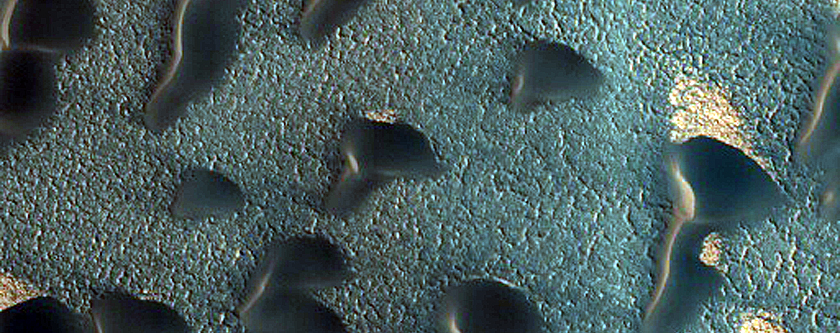 Gypsum Dunes and Basal Unit Contact
