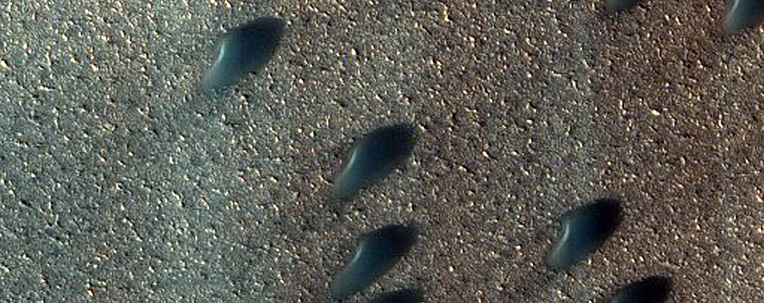 Dune Interaction with Residual Polar Ice