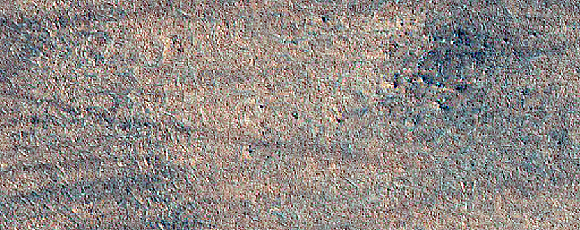 Northern Plains Monitoring