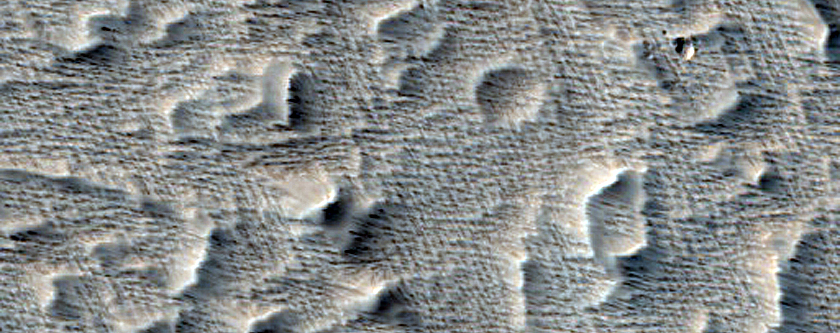 Daedalia Planum