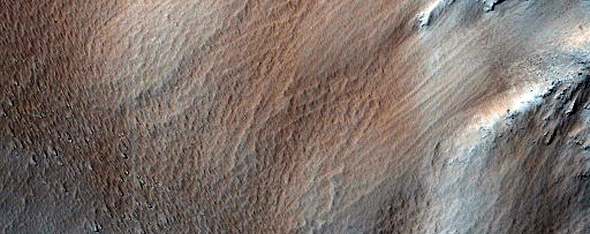 Elysium Fossae Infills