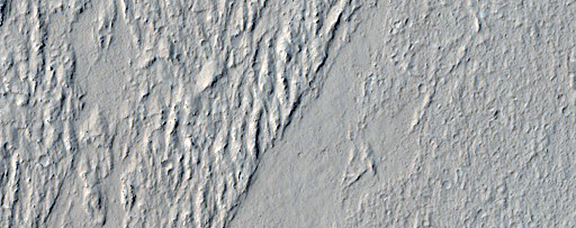Ridges in Amazonis Planitia and Dust Devils Survey