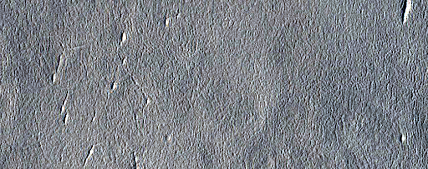 Dust Devil Survey