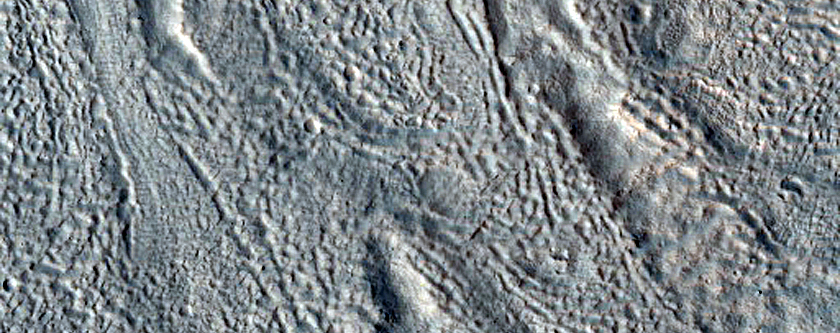 Gullies along Mesa Wall in Northern Tempe Terra