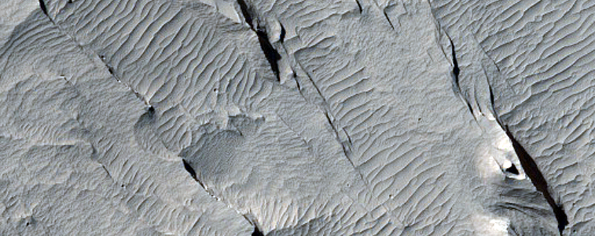 Layering in Lucus Planum