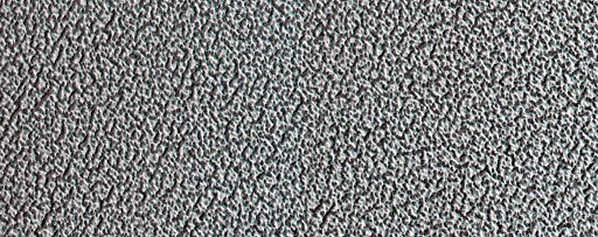 Terrain Sample
