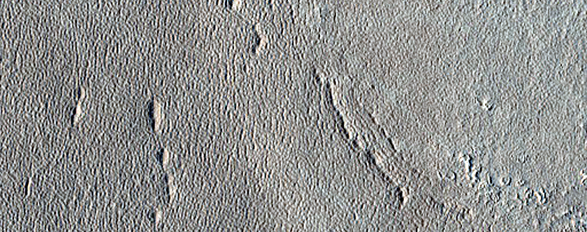 Impact Monitoring in Arcadia Planitia