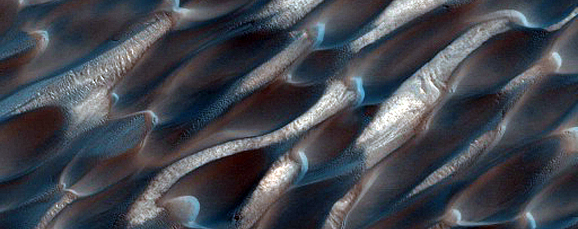 Mid-Erg Dunes in Abalos Undae