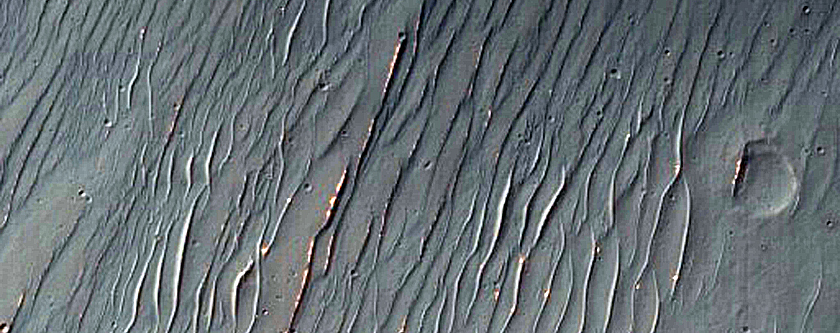Rim of Martin Crater
