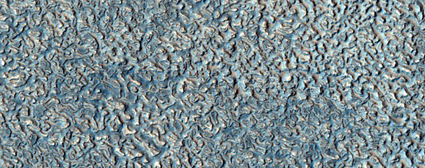 Impact Monitoring in Arcadia Planitia
