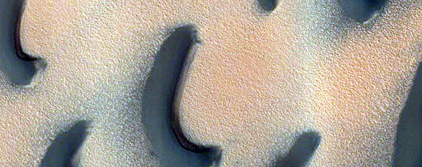 West Olympia Undae Dunes and Megaripples