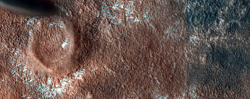 Dune Monitoring near Utopia Rupes