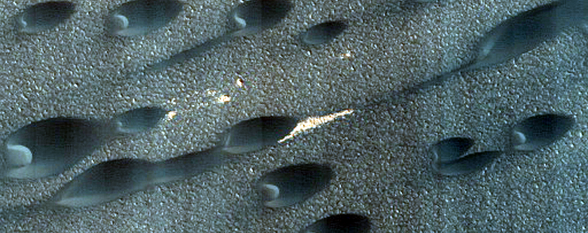 Olympia Undae Dune Interaction with Residual Polar Ice