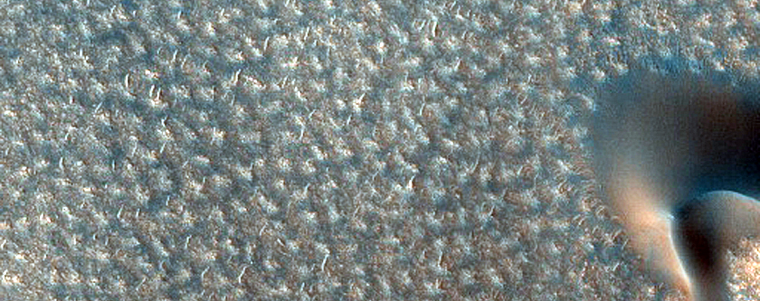 Polar Barchan Dune Monitoring