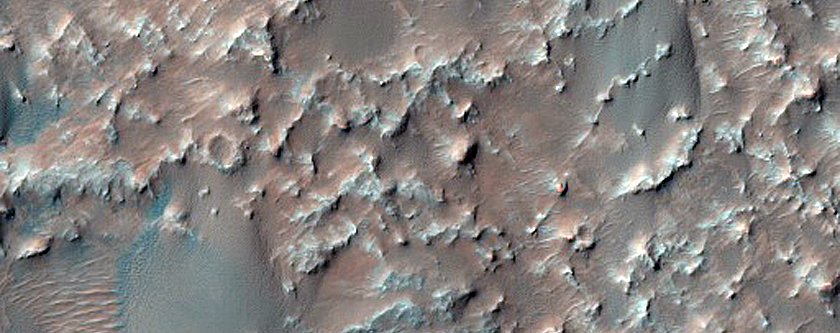 Dune Field