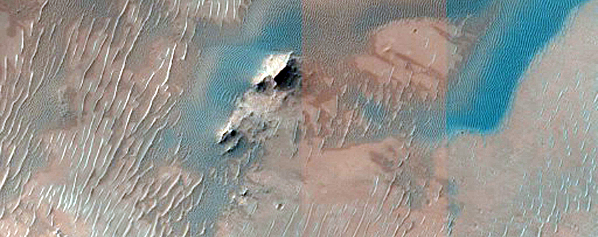 Dune Field