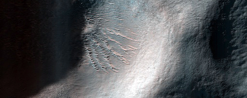 Terrain Sample