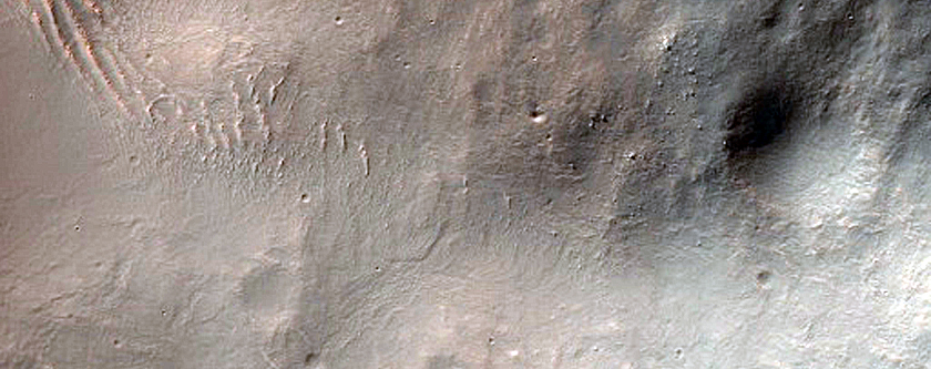 Terrain Sample