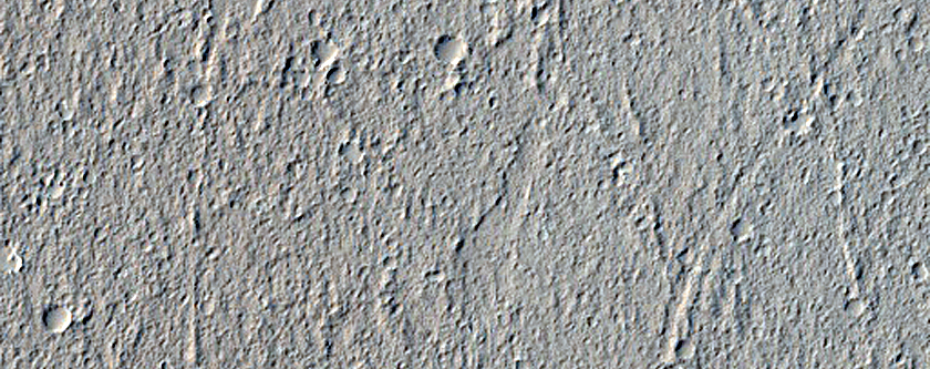 Dust Devils Survey and Ridges in Amazonis Planitia
