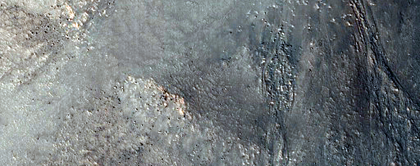 Northern Plains Monitoring