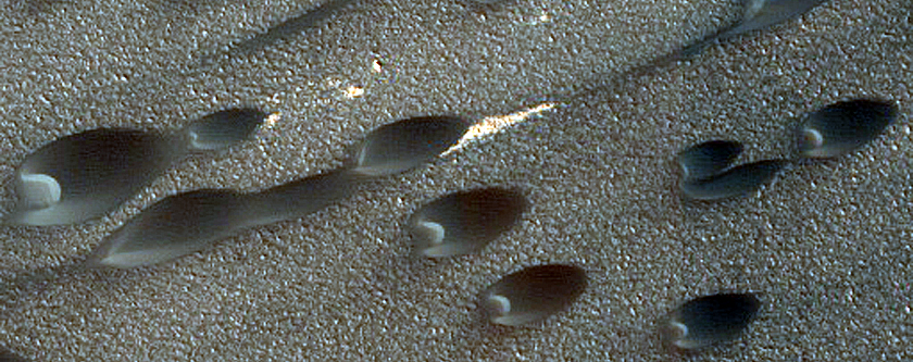 Olympia Undae Dune Interaction with Residual Polar Ice