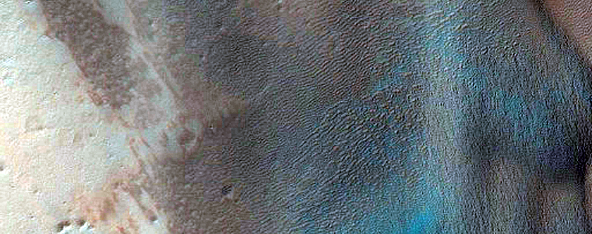 Dune Field