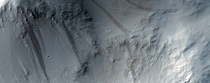 Terrain Sample