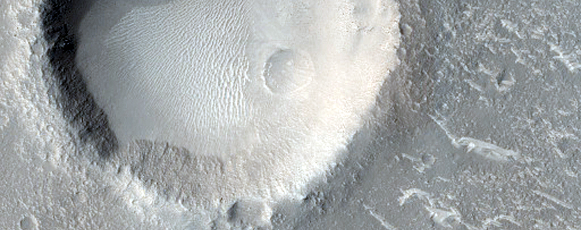 Terrain Sample