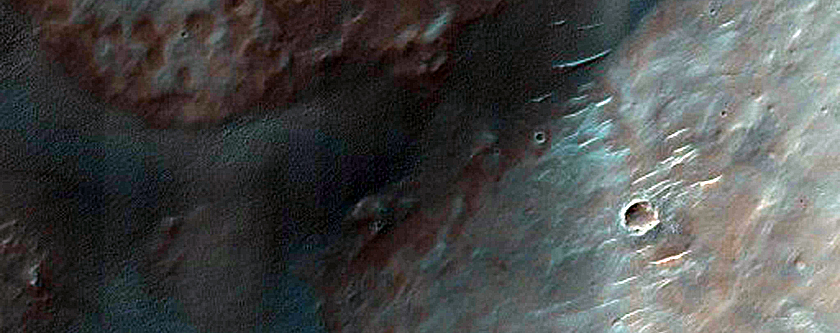 Dune Survey