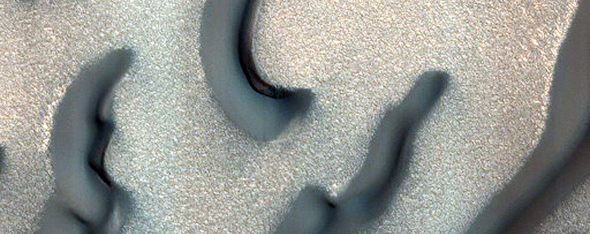 West Olympia Undae Dunes and Megaripples