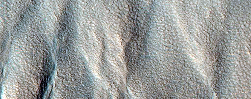 Gully Monitoring
