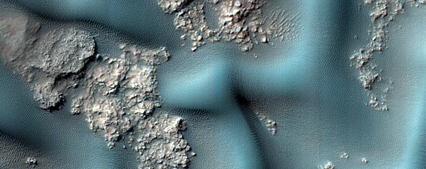 Dune Survey