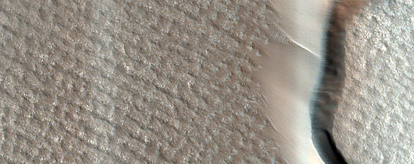 Striped Ground and Dune Monitoring