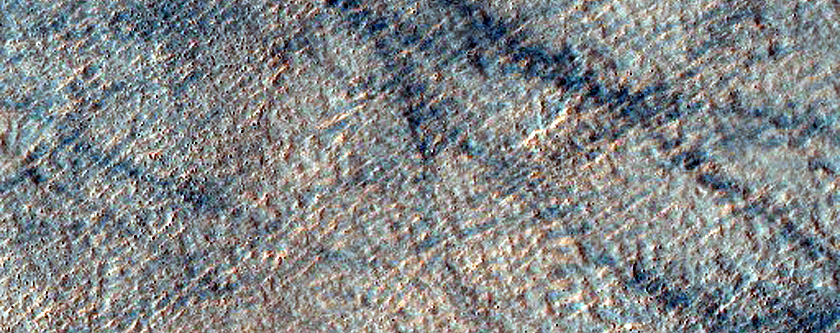 Monitoring Dust Devil Tracks