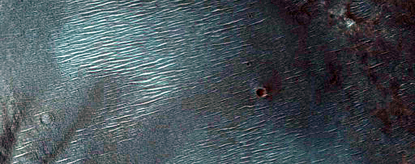 Barchan Dunes in Nili Fossae