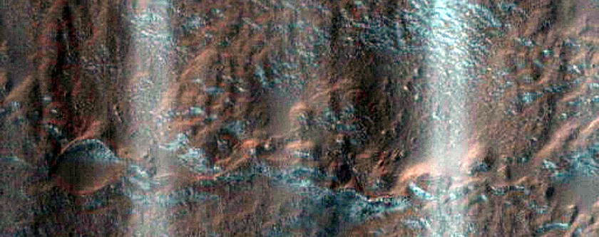 Gully Monitoring