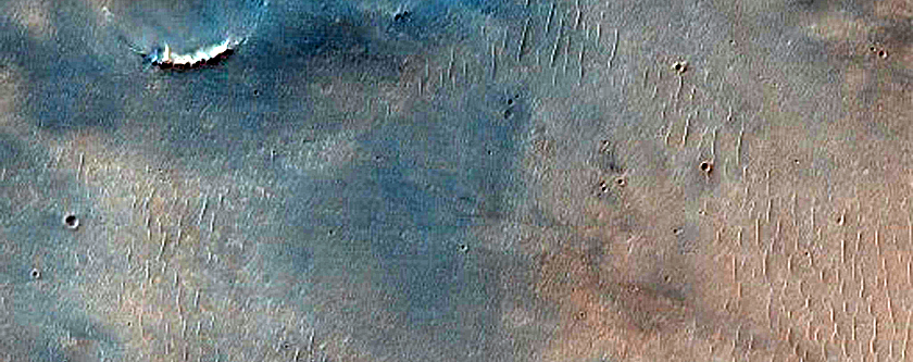 Dune Survey
