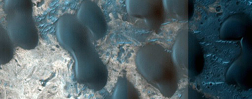 Dune Survey