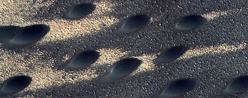 North Polar Duneforms and Frost