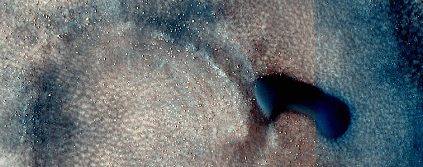 Dune Survey